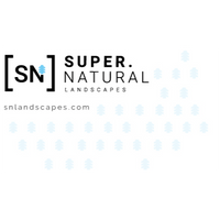 Super Natural Landscapes logo